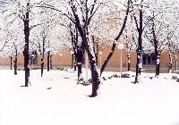 wenshen1